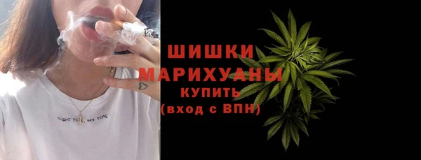 хмурый Белокуриха