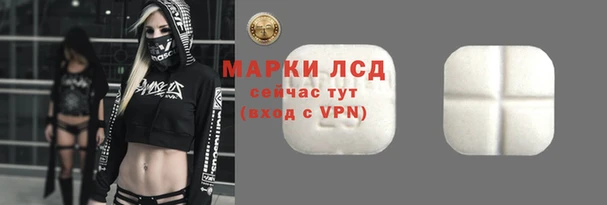 хмурый Белокуриха