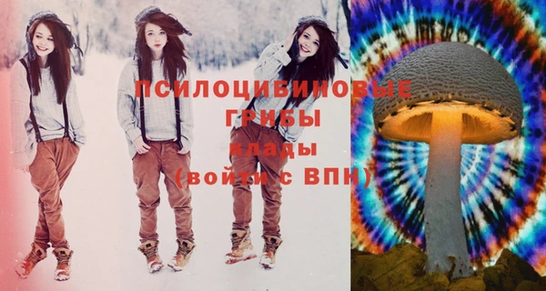 ешки Бугульма