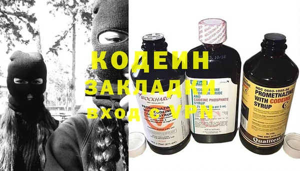 хмурый Белокуриха