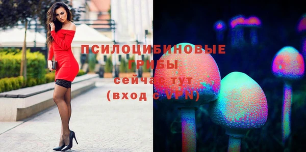 круглые Бронницы