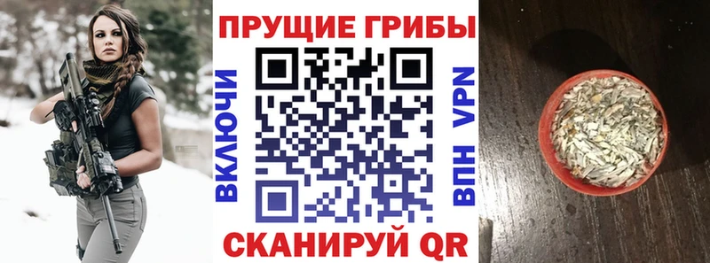 Псилоцибиновые грибы Psilocybine cubensis  даркнет сайт  Барабинск 